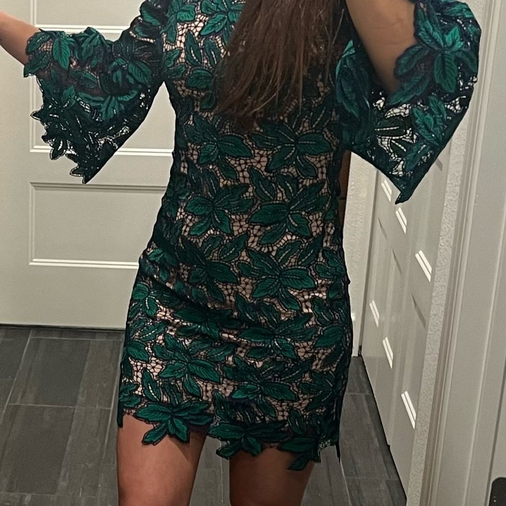 Dress the Population Lace Mini Cocktail Dress (Green/Navy) - Picture 6 of 13